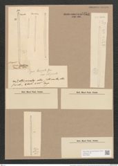 Synedra laevigata var. obtusiuscula Grun. (de-Toni-Nr.: Genus 66, Species 2587) Zeichnungen Sammlung Grunow Nr. 5255 (NHMW-BOT-W0373633)